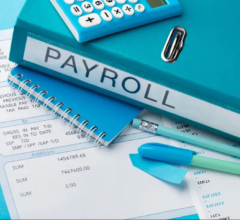Outsourced Visa and Payroll in the UAE